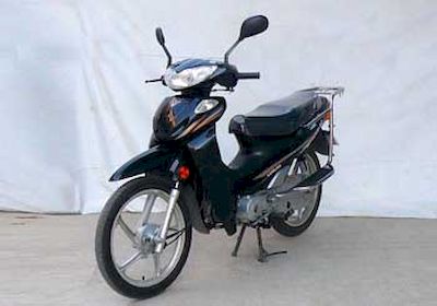 Luojia LJ11010CTwo wheeled motorcycles