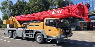 Sany  SYM5321JQZ25CP Car crane