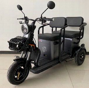 Wanshida WSD1200DZK7Electric tricycle