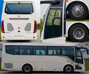 Wuling  GL6901CH1 coach