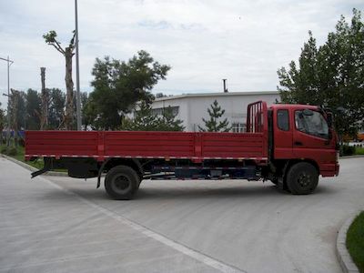 Foton  BJ1159VKPEKFA Truck