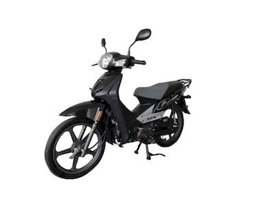 Qianjiang  QJ11010E Two wheeled motorcycles