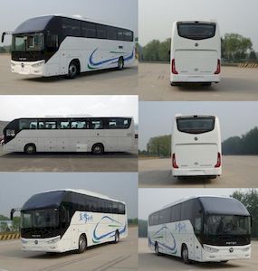 Foton  BJ6122U8BKB6 coach