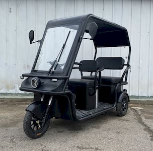 Wanshida WSD1200DZK9Electric tricycle