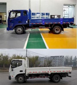 Foton  BJ1048V9JEAFE Truck