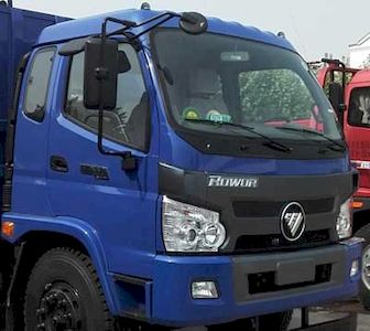 Foton  BJ3195DKPFB1 Dump truck