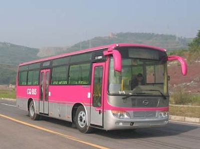 Hengtong Bus CKZ6950ES coach