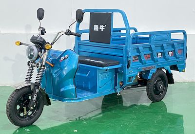 Xinniu XN1000DZHDElectric tricycle