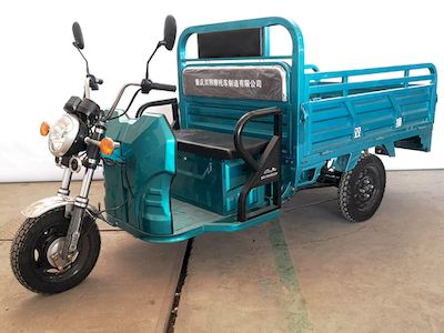 Sansong  SS1500DZH Electric tricycle