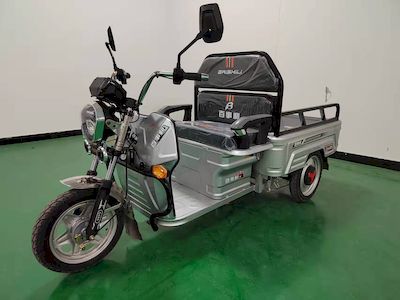 Pepsi BSL1000DZH2 Electric tricycle