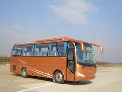 Shenye  ZJZ6850P1 coach