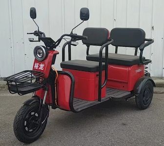 Yulong Motors YL1000DZKA Electric tricycle