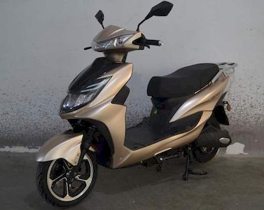 Haoshun  HS1200DT2 Electric two wheeled motorcycle