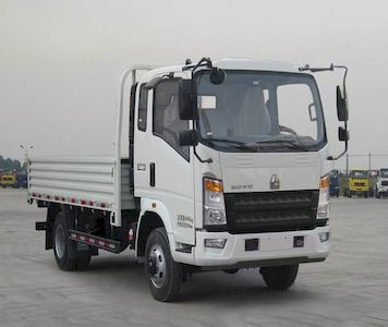 Haowo ZZ2047F342CE142Off road cargo vehicle