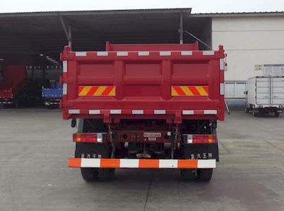 Ace car CDW3160A1N3 Dump truck