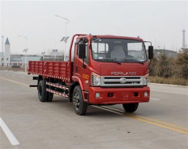 Foton  BJ1143VKJFGH1 Truck