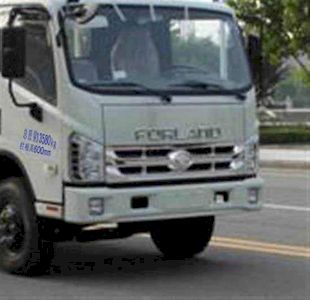 Foton  BJ1143VKJFGH1 Truck