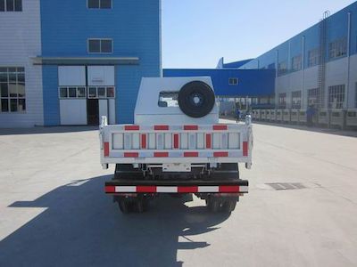 Shifeng  SSF3021DBJ31 Dump truck