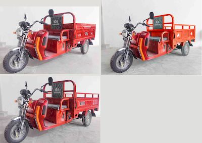 Dayang  DY1200DZH9 Electric tricycle