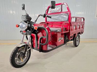 Shuangsheng  SS1500DZH13H Electric tricycle