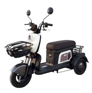 Emma  AM400DQZ7N Electric three wheeled light motorcycle