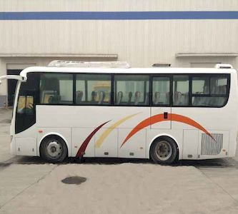 Shaanxi Automobile SX6890K1 coach