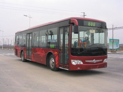 Yaxing JS6116GHCJCity buses