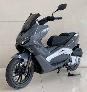 Longjia  LJ300T18 Two wheeled motorcycles