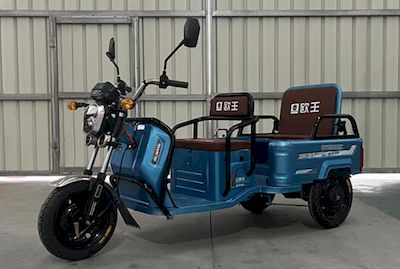 Ouwang  OW1000DZK Electric tricycle