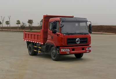 Yanlong  YL3030GSZ1 Dump truck