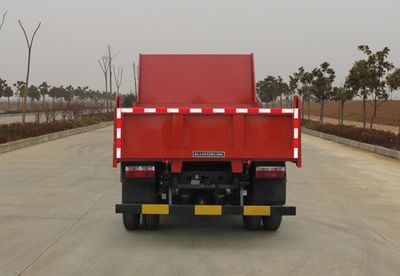 Yanlong  YL3030GSZ1 Dump truck