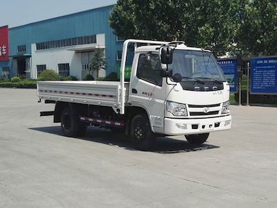 Shifeng  SSF1042HDJ54F Truck