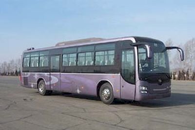 Huanghai  DD6129K62 coach