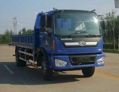 Foton  BJ3163DJPHK1 Dump truck