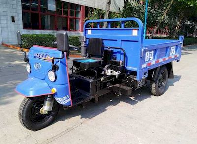 Shifeng  7YP975DC2 Self dumping tricycle