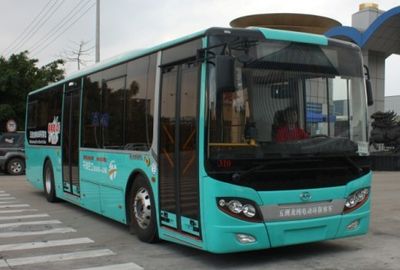 Wuzhoulong  FDG6113EVG11 Pure electric city buses