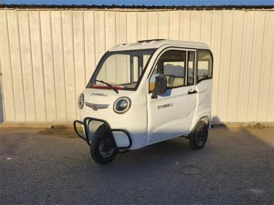 Everest Yueda  ZY1200DZK2 Electric tricycle