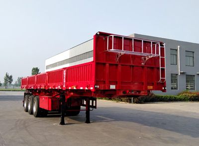 Longyu Tianxiang  TXC9401Z tipping chassis 