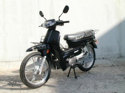 Silver Light  YG1003V Two wheeled motorcycles