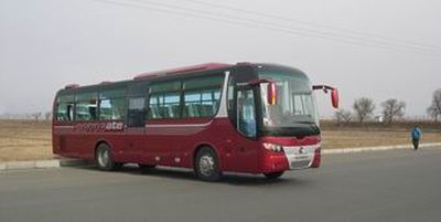 Huanghai  DD6119K50 coach