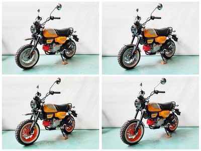 Shuangshi  SS1503C Two wheeled motorcycles