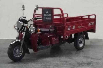 Foton Five StarWX200ZH8Eright three-wheeled motorcycle 