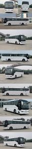 Zhongtong Automobile LCK6125EV1A1 Pure electric passenger cars