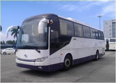 Jinlong  XMQ6113BYN4C coach