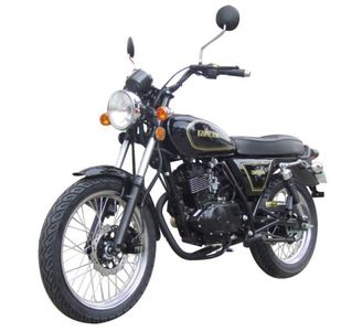 Qingqi  QM1253X Two wheeled motorcycles