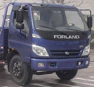 Foton  BJ1113VEJEAS Truck