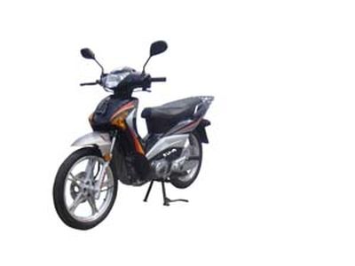 Qianjiang  QJ11018E Two wheeled motorcycles