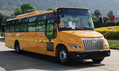 Jinlv XML6991J15XXCSchool buses exclusively for primary school students