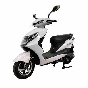 Tailing  TL800DQT21 Electric two wheeled light motorcycle