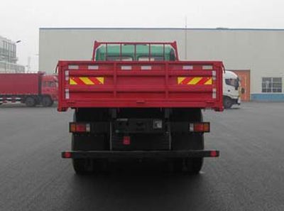 Hongyan  CQ1255TMG384 Truck